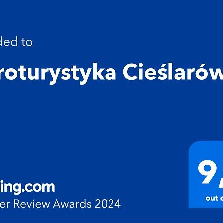 Agroturystyka Cieslarowka Lubawka Luaran gambar